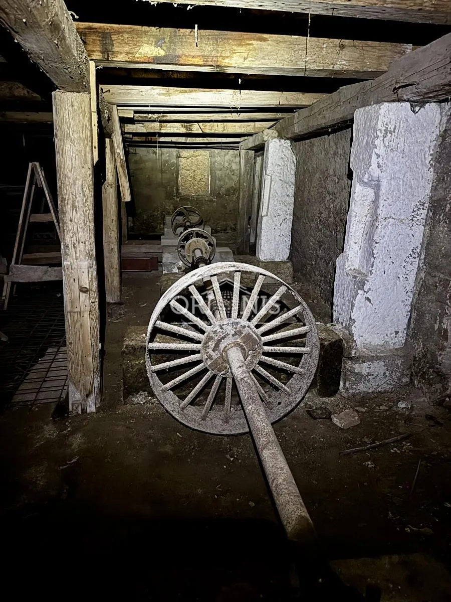 Fotka 11 z 11